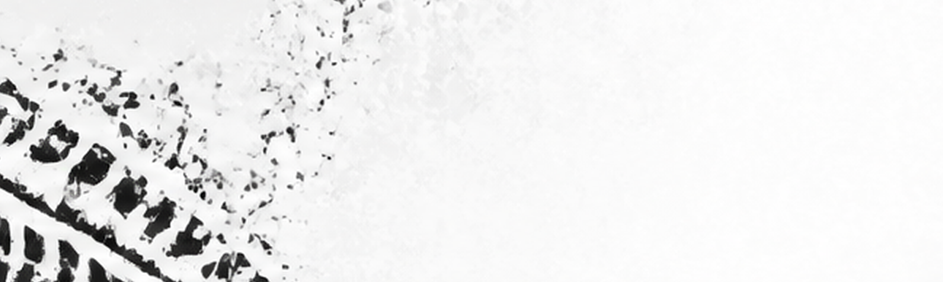 img49.png