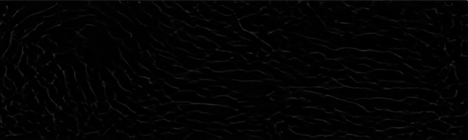 x1.png
