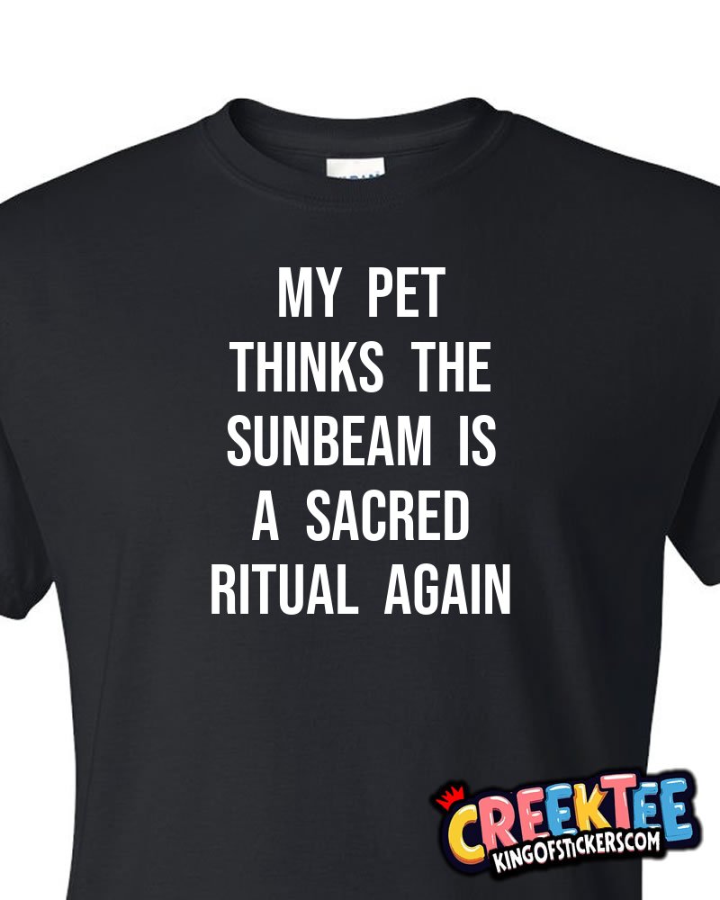 My pet thinks the sunbeam is a sacred ritual again