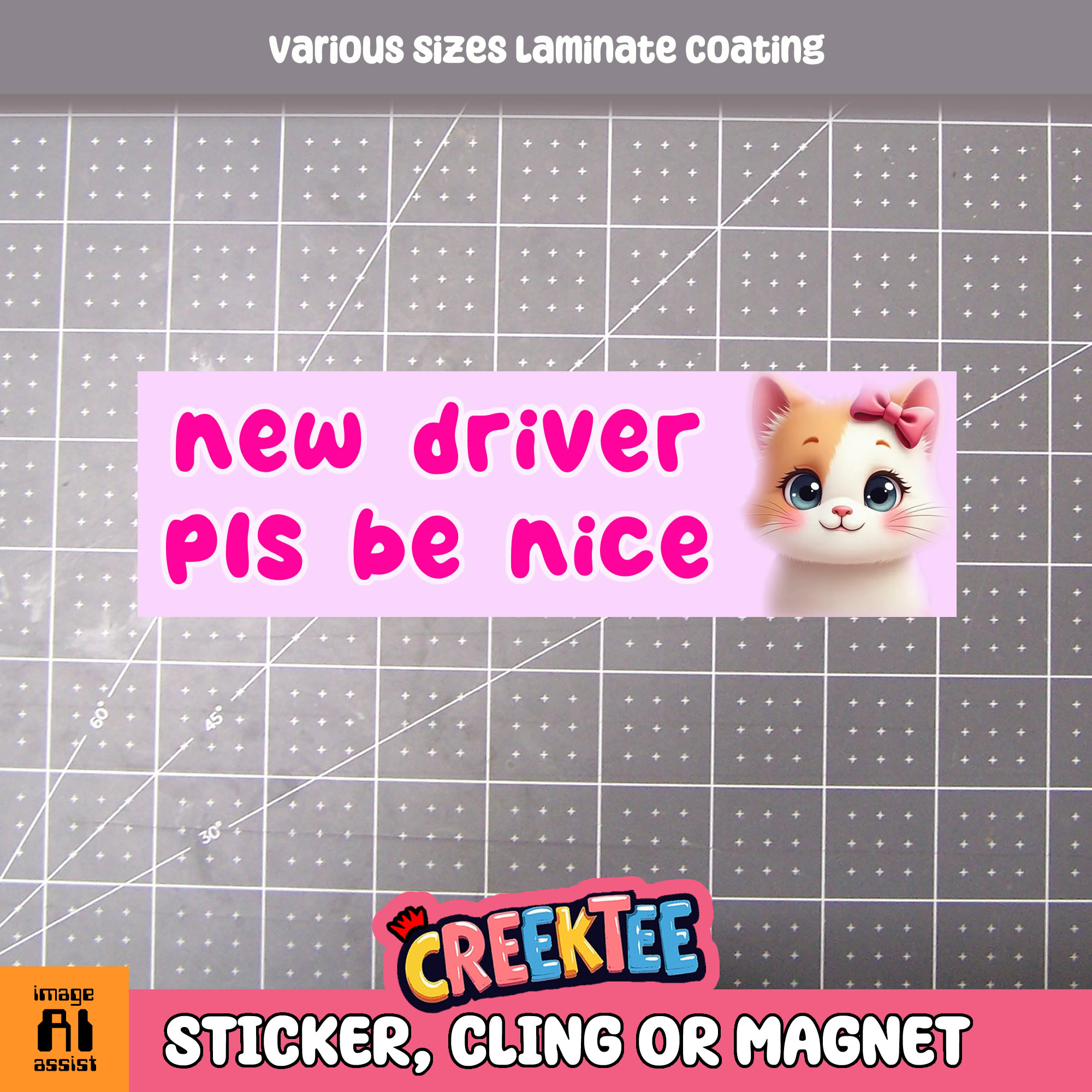 New Driver Pls Be Nice Vinyl Bumper Sticker  Window Cling or Magnet in UV Laminate Coating and Various Sizes